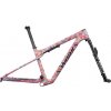 Specialized S-Works Epic World Cup Frameset - gloss lagoon blue / purple orchid / blaze impasto S