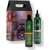 HS Milano Vegan Radiance Color Care Shampoo and Leave-In Treatment