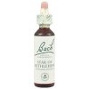 A. Nelson STAR OF BETLEHEM - Bledavka okolíkatá Objem: 20 ml