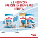 Krmivo pre psa Royal Canin Starter Mother&Babydog Medium 4 kg