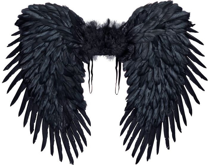 Widmann Čierne krídla páperové 80x60 cm