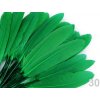 Kačacie perie dĺžka 9-14 cm - 1 sáčok - zelená pastelová - 30 zelená pastelová