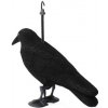 Maketa havrana plastová - havran - odpudzovač vtákov