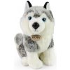Eco-Friendly pes Husky sediaci 30 cm