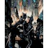 Zuty Maľovanie podľa čísel Batman a Catwoman