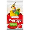 VERSELE LAGA 15% Shell Sand Kristal biely piesok s anízom 5kg