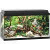 Juwel Primo 60 LED akvárium černé 57 l
