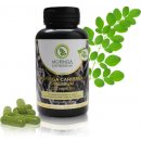 Moringa Caribbean PREMIUM 120 kapsúl