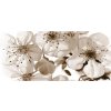 AG Design FTNH-2706 fototapeta Flowers rozmery 202 x 90 cm