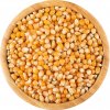 Vital Country Kukuřice na popcorn BIO 1000 g