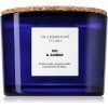 Vila Hermanos Apothecary Cobalt Blue Fig & Amber vonná sviečka 350 g