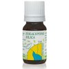 Eukalyptová silica, Hanus 10 ml