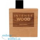 Dsquared2 Wood Intense toaletná voda pánska 100 ml