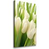 Vertikálny foto obraz na plátne Biele tulipány 50x100 cm
