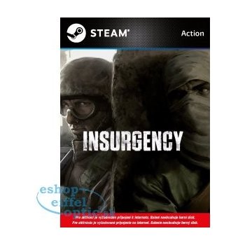 Insurgency