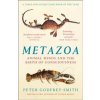 Metazoa: Animal Minds And The Birth Of Consciousness - Peter Godfrey-Smith, William Collins