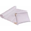 2G Prikrývky a vankúše Regina set 135x200 70x90(540g)