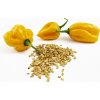 Habanero Yellow semienka 10 ks