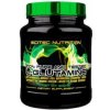 Scitec L-GLUTAMINE 600g Natural