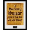 Harry Potter Zarámovaný plagát - Slávnostne prisahám