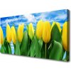 Obraz na plátne Tulipány kvety 100x50 cm