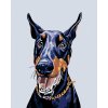 Diamondi Diamantové maľovanie - DOBERMAN Rámovanie: bez rámu a bez vypnutia plátna, Rozmer: 40x50 cm