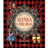 Alenka v Říši divů: Logické hádanky a nápadité rébusy - Případy k rozlousknutí - Gareth Moore