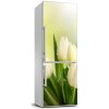 Fototapeta nálepka na chladničku Tulipány 60x180 cm