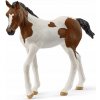 Schleich Žriebä plemena Paint Horse 14899