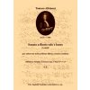 Albinoni Tomaso: Sonata a flauto solo e basso (Biblioteca Palatina 1)