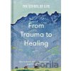From Trauma to Healing - -