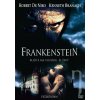 Frankenstein (pap.box)