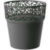 Prosperplast Naturo s čipkou 17,5 cm grafit DNAT175
