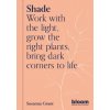 Shade (SUSANNA GRANT)(Brožovaná)