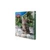 Adventný kalendár pre mačky 380g TR