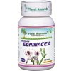 Planet Ayurveda Indická echinacea (Právenka latnatá)