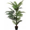 Palma Areca, 150 cm