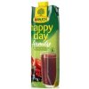 Rauch Džús Happy Day Multivitamín red fruit 100% 1l