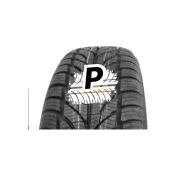 Paxaro Winter 225/50 R17 98V