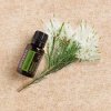 doTerra Melaleuca - 15 ml - Tea Tree, Čajovník (olej energetických hraníc)