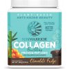 Sunwarrior Collagen Building Protein Peptides, Vegan, Čokoláda, 500 g