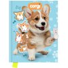 Pamätník Junior 14 x 18 cm, 80 listov, čistý so zámkom - Corgi