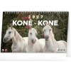 Koně 2027 - stolní kalendář - autor neuvedený