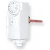 Salus Controls TC AT10J
