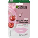 Garnier Skin Naturals Replump Mask na rty 5 g