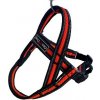Postroj Gimborn Mesh Y 2,5x60 64-80cm oranžový
