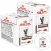 ROYAL CANIN VHN CAT GASTROINTESTINAL Kapsičky 24 x 85 g