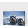 Vymalujsisam.sk Maľovanie podľa čísiel - Tulene na love Veľkosť: 40x60cm, Rám: Na plastovej doske