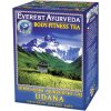 Everest Ayurveda Ajurvédsky čaj Udana 100 g