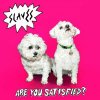SLAVES - ARE YOU SATISFIED? (1VINYL)